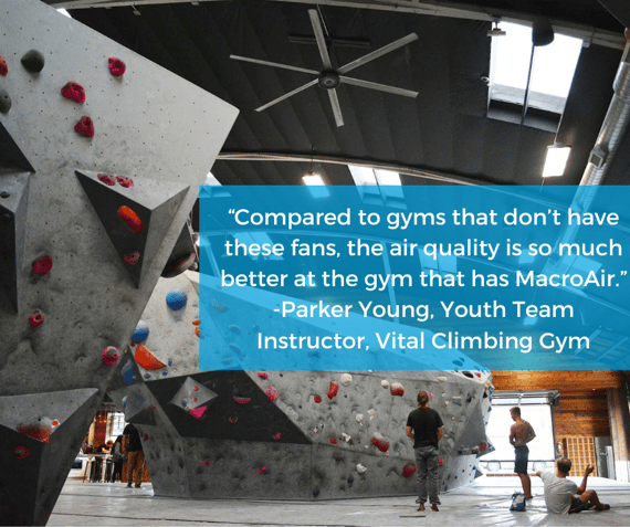 Vital Climbing GYm