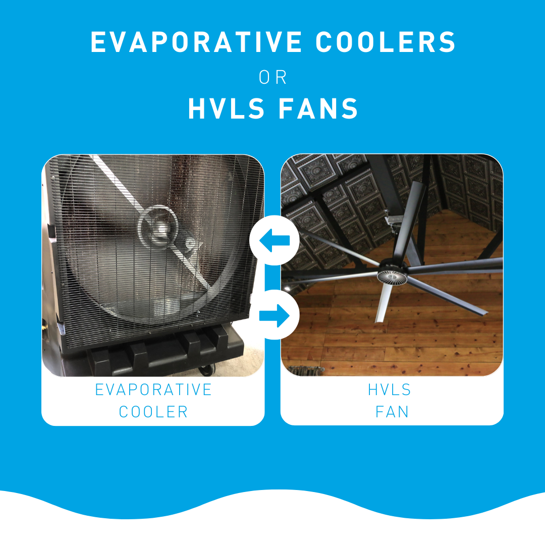 Fans Vs Air Coolers: Which Is Best For Me?
